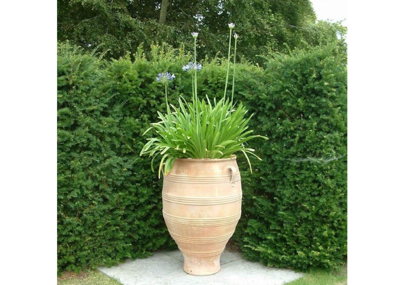 Pithari terracotta pot from The Cretan Pot Shop Rugby Warwickshire